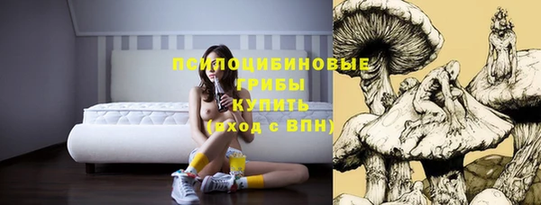 ALPHA-PVP Богородицк