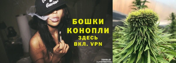 гашик Богородск
