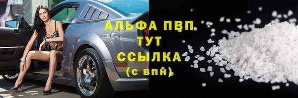 гашик Богородск