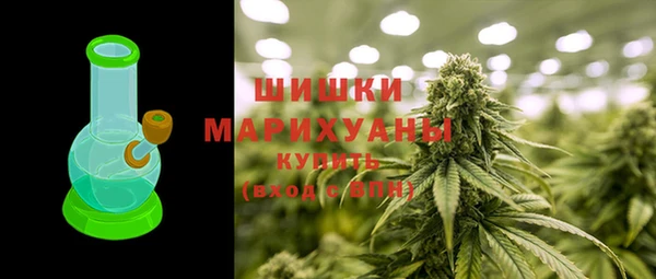 шишки Богданович