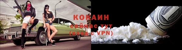 шишки Богданович