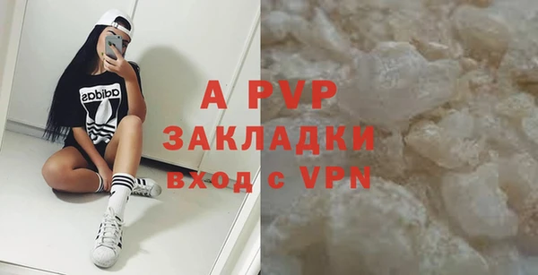 шишки Богданович