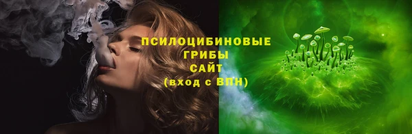 шишки Богданович
