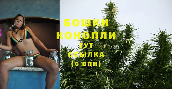 ALPHA-PVP Богородицк
