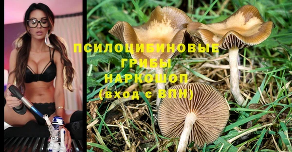 ALPHA-PVP Богородицк