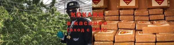 гидра Белокуриха
