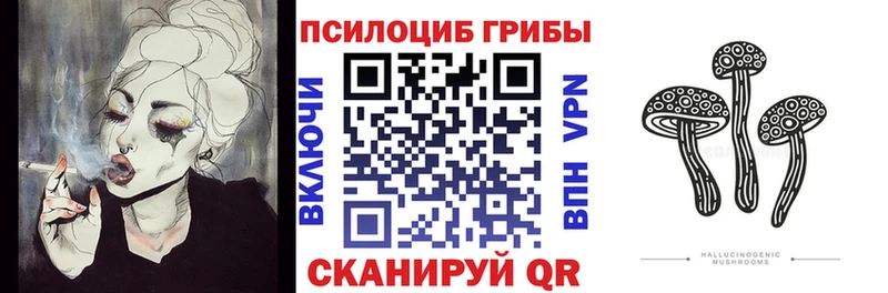 Купить где  Порхов  Галлюциногенные грибы мицелий 